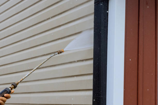 istock Service for cleaning siding houses on a regular basis by using high pressure nozzles that spray soap and water to clean the siding. 1440608019