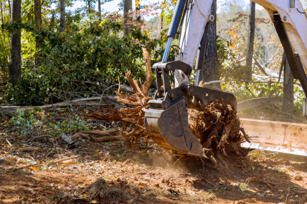 A landscaping company was using tractors and skid steers and tractors to clear the land of roots for the construction of a housing subdivision in a residential area. stock photo