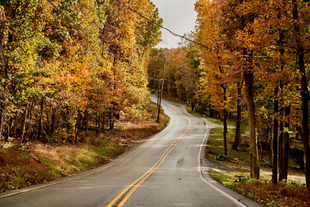 istock Road lined with colorful leaves 1440608162