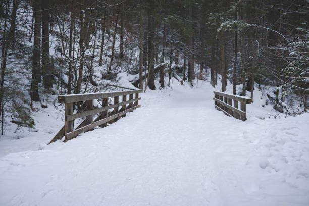 istock Small wooden bridge covered in snow during winter 1440609296