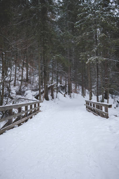 istock Small wooden bridge covered in snow during winter 1440609304