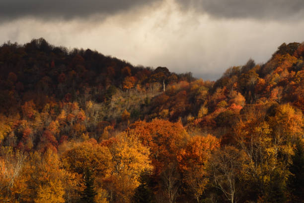 istock Light Catches the Foliage Along the Blue Ridge Parkway 1440611079