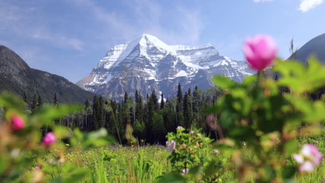 Mount Robson Mountain Summit in Summer, British Columbia, Canada