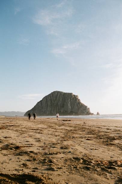 istock Surfers at Morro Bay 1440613120