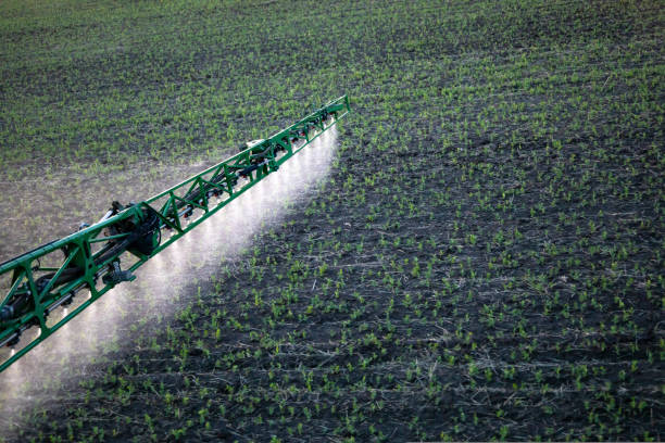 istock A special tractor sprays the fields from weeds, spraying the fields close-up. 1440613149
