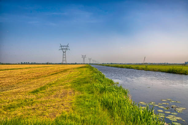 Marshes and fields near Wedel, district of Pinneberg