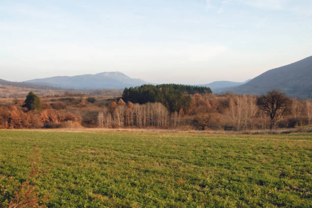 istock Autumn landscape of the valley and forest 1440620355