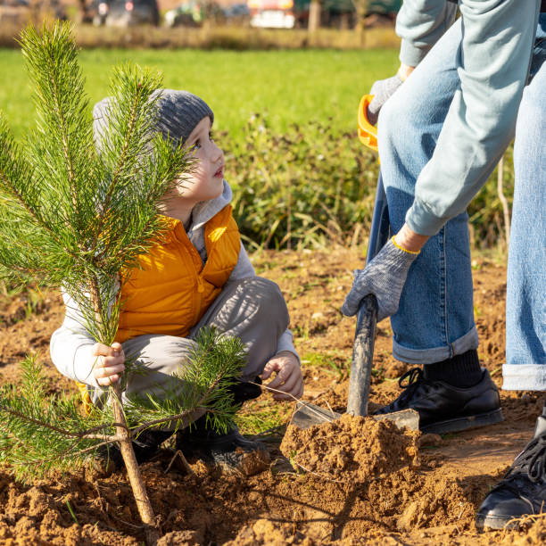 istock Father and son planting a pine tree together 1440621221