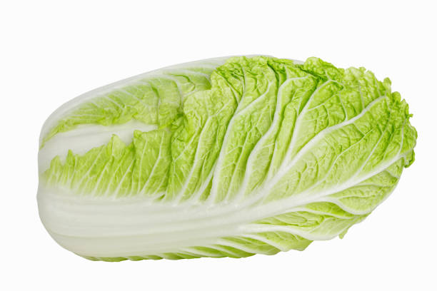 istock Napa or chinese cabbage isolated on white background 1440622688