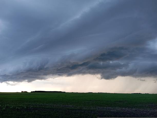 istock storm clouds over a wheat field, a tornado is visible in the distance. 1440625001