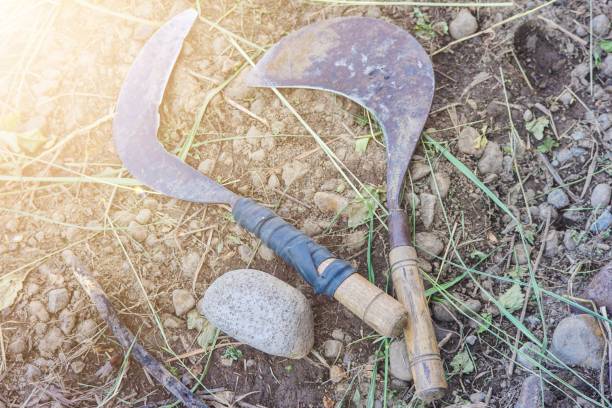 istock a farmer's tool called a cengkrong sickle 1440633244