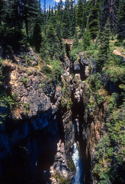 istock Kootenay National Park - Marble Canyon Deep Chasm - 1989 1440640649