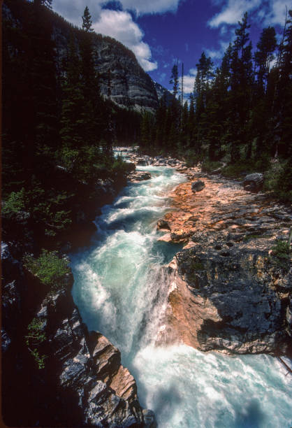istock Kootenay National Park - Marble Canyon - Waterfall & Rapids - 1989 1440640843