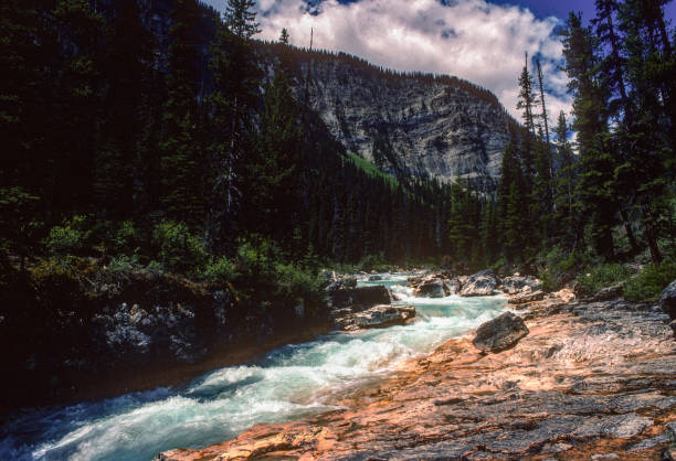 istock Kootenay National Park - Marble Canyon - Rushing Stream - 1989 1440641267