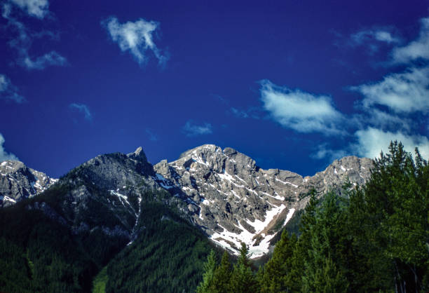 Kootenay National Park - Mountain Peak Framed by Forest - 1989