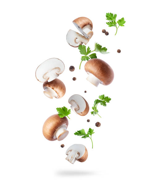 istock Royal Brown champignons with allspice and parsley isolated on a white background 1440644072