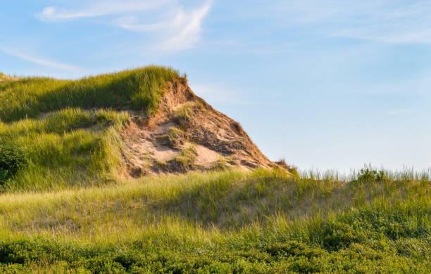 Greenwich grass dune on sky background Greenwich beach national park grass dune on cloudy blue sky background cavendish beach at prince edward island national park canada stock pictures, royalty-free photos & images