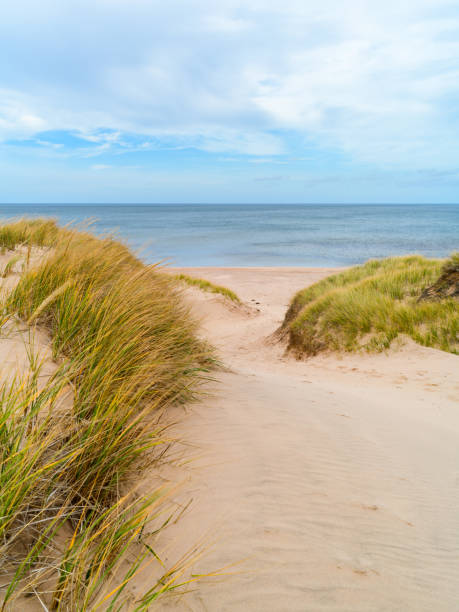 PEI sand dune beach view stock photo