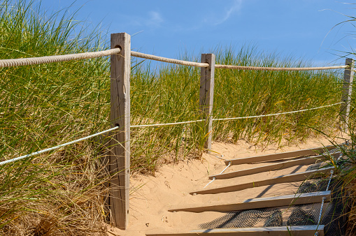 Pathway over the dunes to the beach.