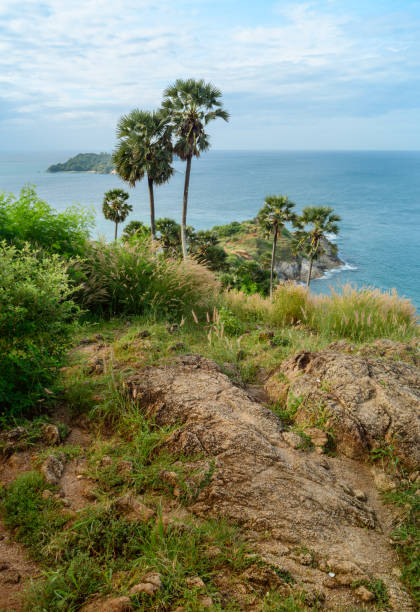 Ya-nui beach lookout point stock photo