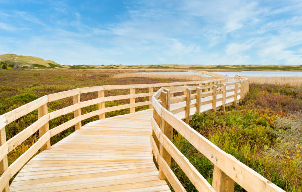 Greenwich boardwalk trail Greenwich boardwalk trail over body of water to the beach, with blue sky and dunes in the background cavendish beach at prince edward island national park canada stock pictures, royalty-free photos & images