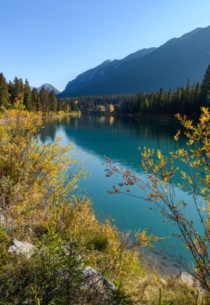 Rivers In Calgary 80+ Calgary River Walk Stock Photos, Pictures & Royalty-Free Images ...