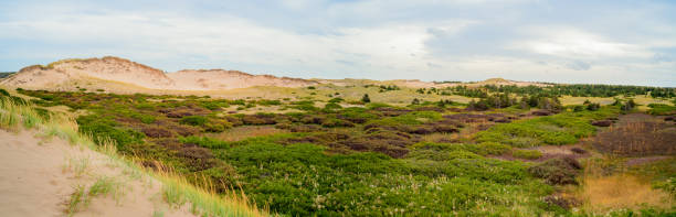 Greenwich dunes and wetlands Greenwich beach dunes and wetlands view cavendish beach at prince edward island national park canada stock pictures, royalty-free photos & images