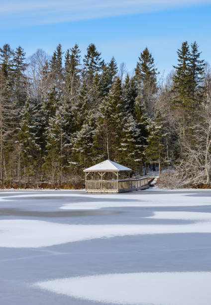 Bird sanctuary pond winter Winter scene of frozen pond at Harvey Moore Wildlife Sanctuary cavendish beach at prince edward island national park canada stock pictures, royalty-free photos & images
