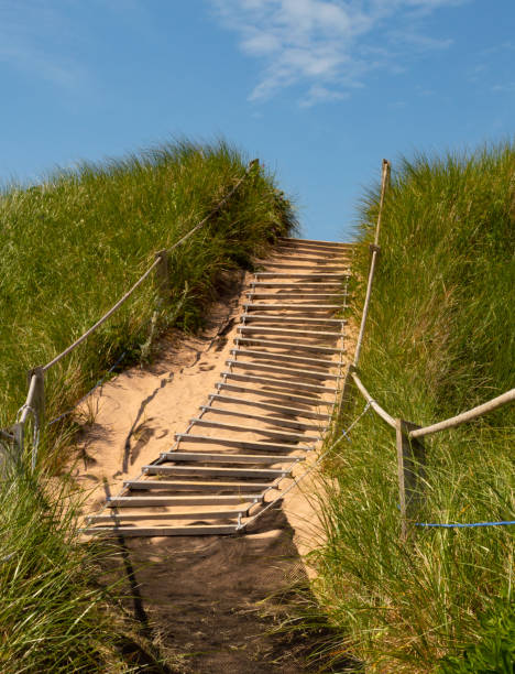 Pathway over the dunes to the beach. Pathway over the dunes to Greenwich beach. cavendish beach at prince edward island national park canada stock pictures, royalty-free photos & images