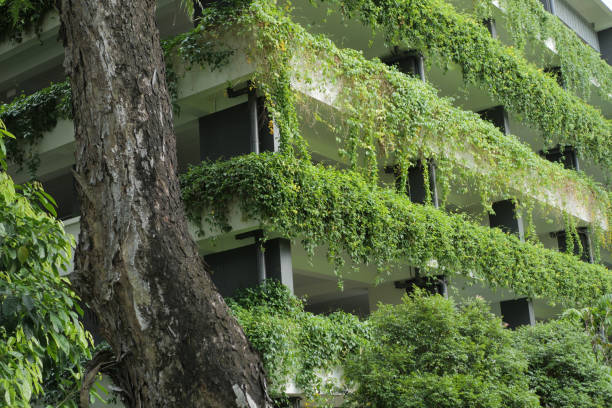 istock building with plants growing on the facade 1440650697