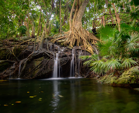 a waterfall in the jungle with a cenote