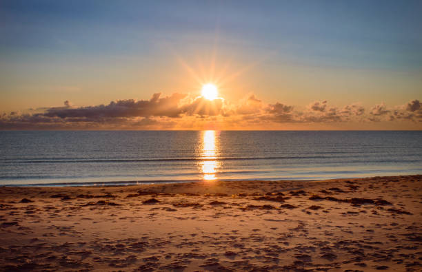 istock Panmure Island beach sunrise 1440650752