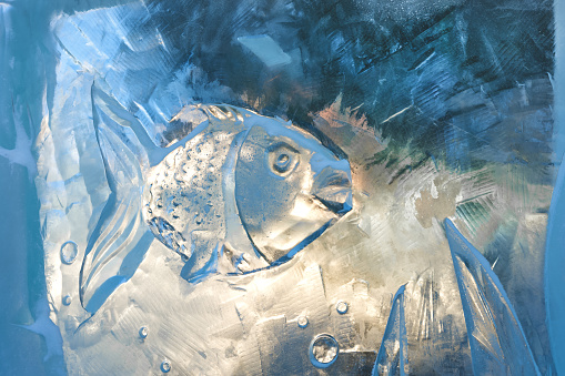 Fish pattern on a transparent ice block. Background and texture of the winter holiday