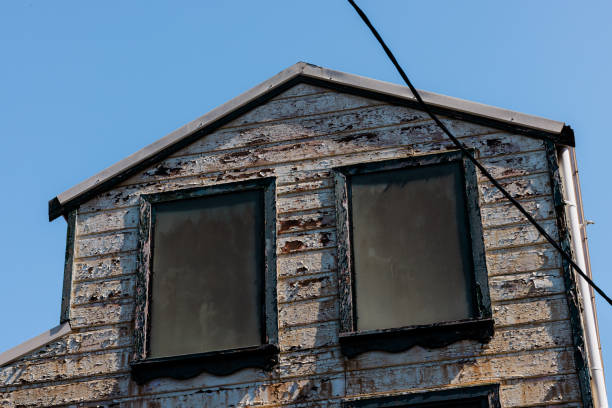 Close-up on an old peeling wooden building with dear clear.