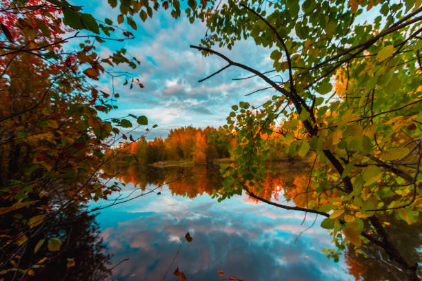 istock Forest pond covered with colorful fallen leaves. 1440660470