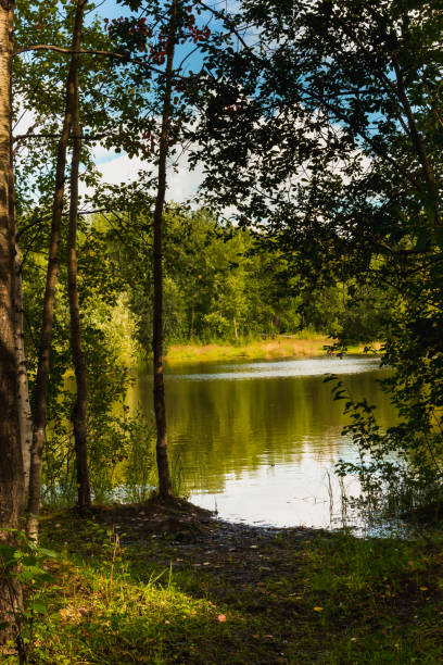 istock Clear autumn day at the forest lake 1440660514