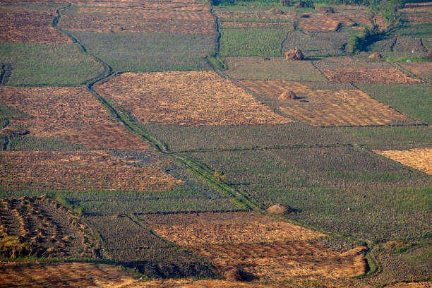 istock Countryside farming 1440661860