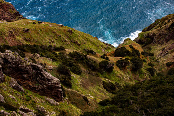 istock Vereda do Larano hiking trail, Madeira 1440673135