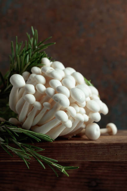 istock Shimeji mushrooms with rosemary. 1440674682