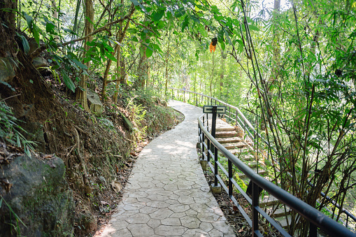 Walking path in Mae Sa national park the most famaus waterfall in Doi Suthep-Pui National Park