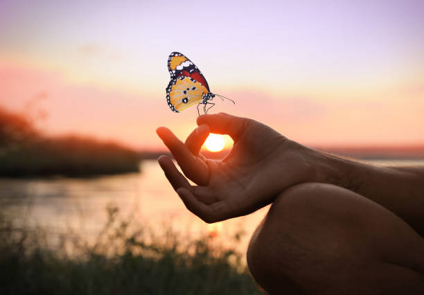 Man meditating near river at sunset, closeup. Space for text Man meditating near river at sunset, closeup. Space for text tranquil scene stock pictures, royalty-free photos & images