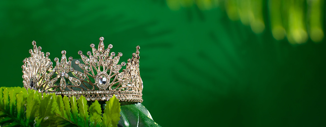 Green Forest Diamond Crown put into Jungle Woods nature leaves for Miss Beauty Pageant Contest Competition and bikini sash hang on outing trip camping background. Concept save beautiful natural forest