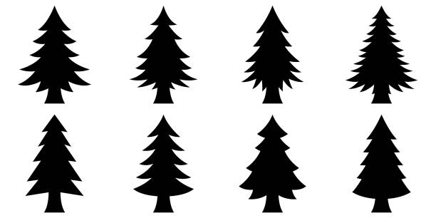ilustraciones, imágenes clip art, dibujos animados e iconos de stock de conjunto de árbol de navidad en estilo plano aislado - pine