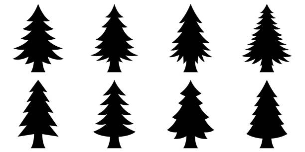 bildbanksillustrationer, clip art samt tecknat material och ikoner med set of christmas tree in flat style isolated - tall