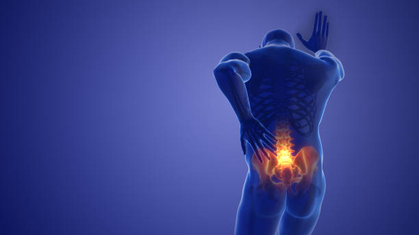 istock Pain in the back joint medical concept 1440683772