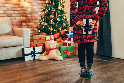 Surprise for Christmas present at decorated home near xmas tree. Little girl holding gift box behind her back. child wearing red dress and colorful socks standing on wooden floor looking teddy bear.