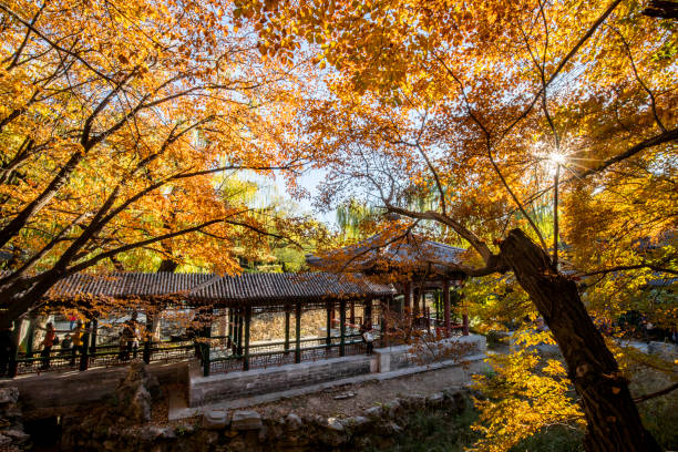 palacio de verano en beijing. otoño - november tranquil scene autumn leaf fotografías e imágenes de stock