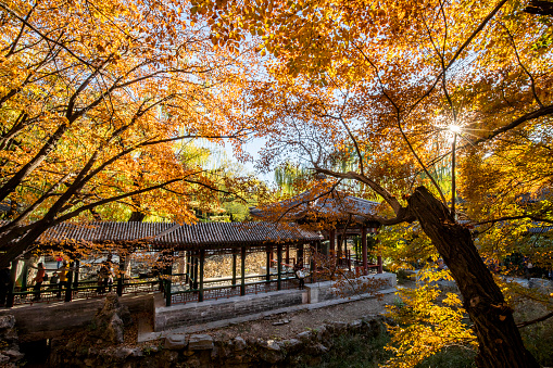 Summer Palace in beijing . autumn