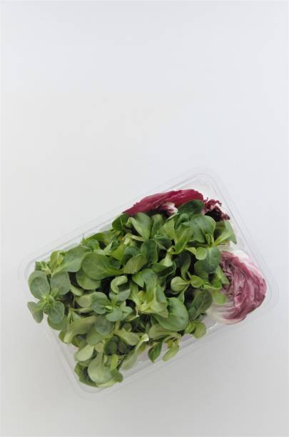 istock corn salad and radicchio salad greens in a container on a white background 1440684089