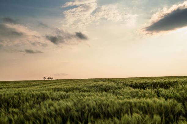 Prairie landscape photo